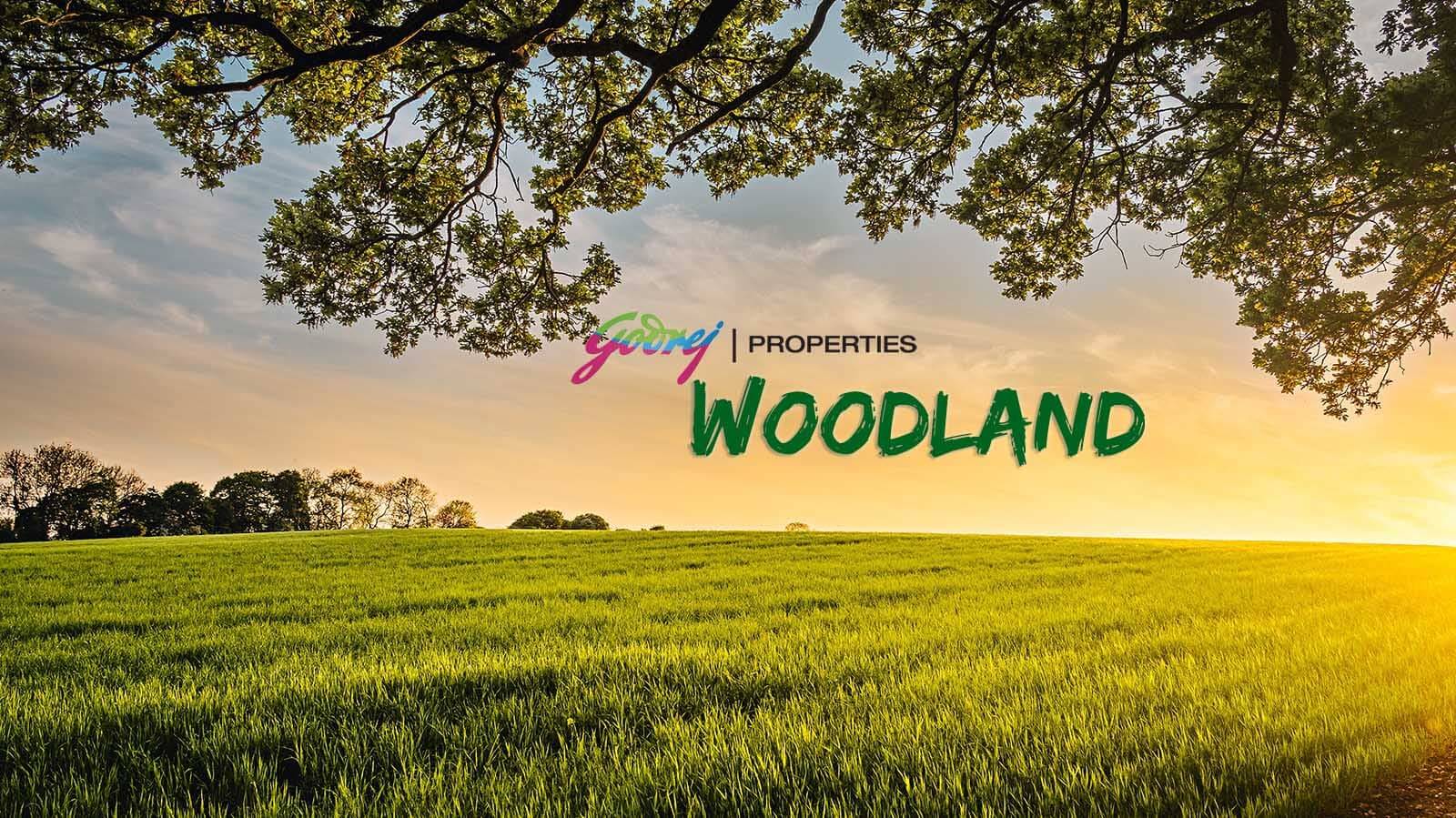 Godrej Woodland
