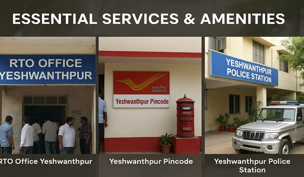 Essential Services & Amenities